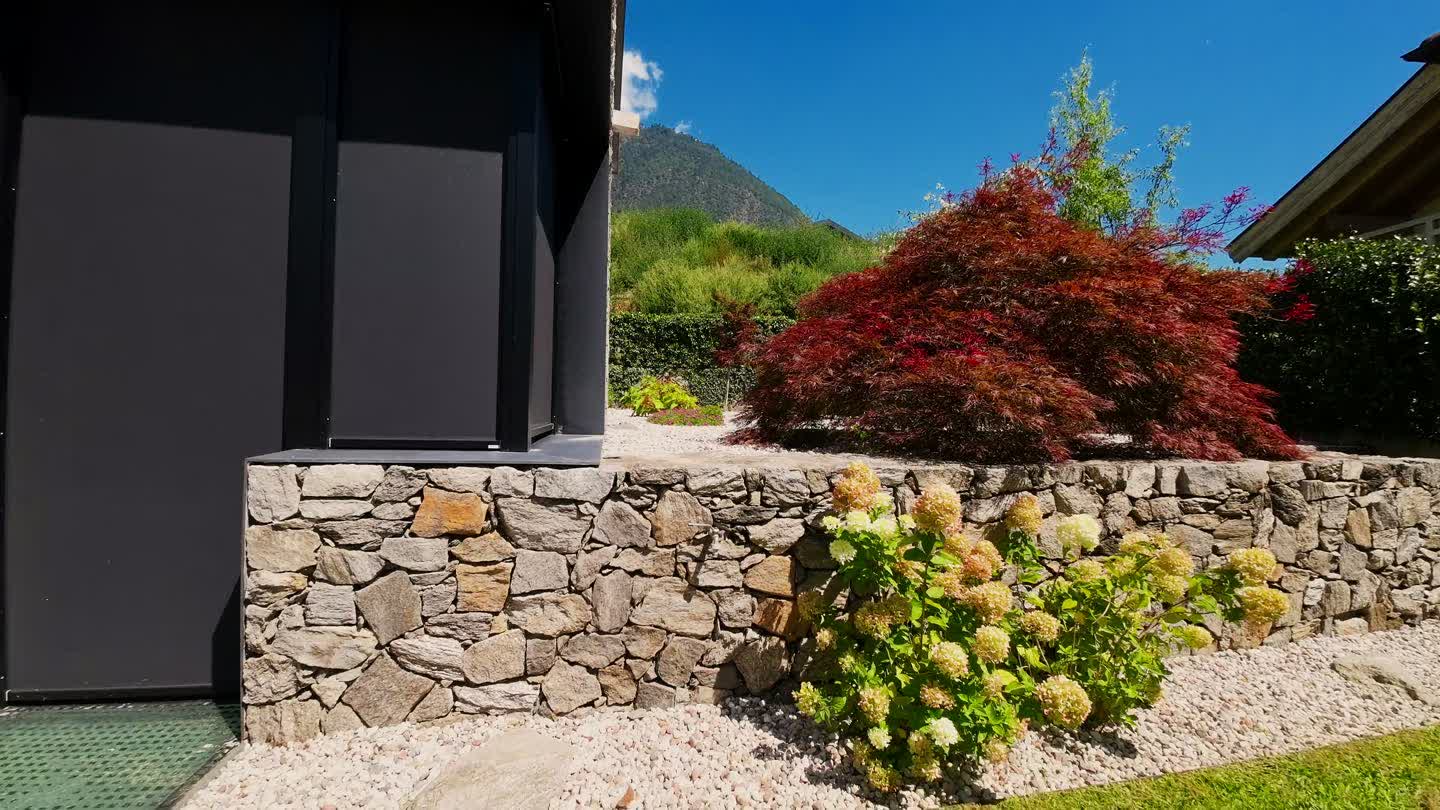 Volo dentro al giardino: muro in pietra, acero rosso e ortensie