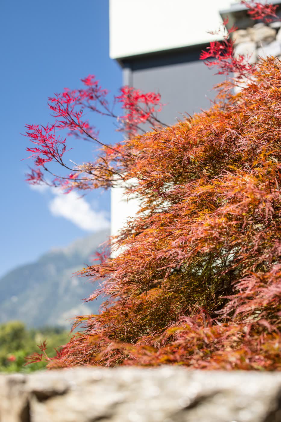 Acero rosso sopra il muro in pietra