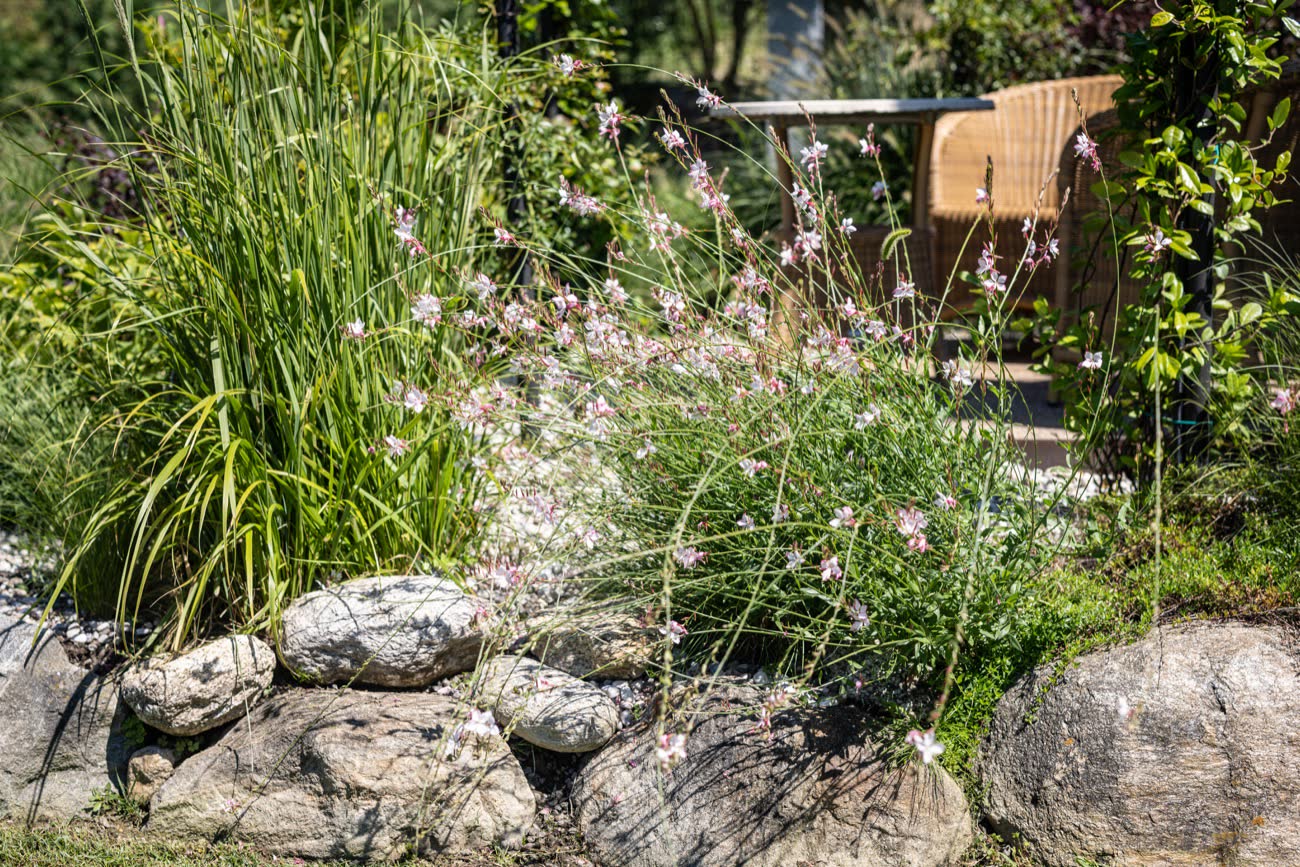 Rocce e graminacee nel giardino