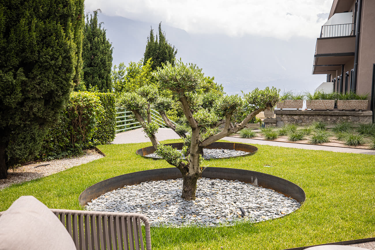 Il giardino con il bonsai e la vista sul lago