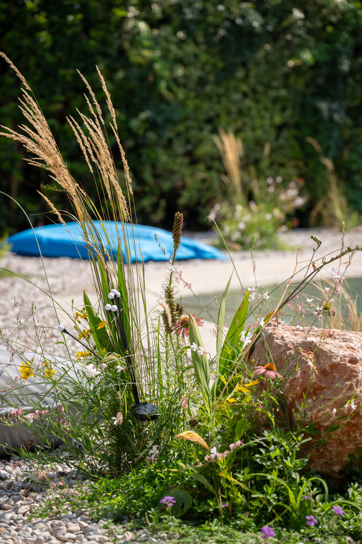 Bordo della piscina con graminacee