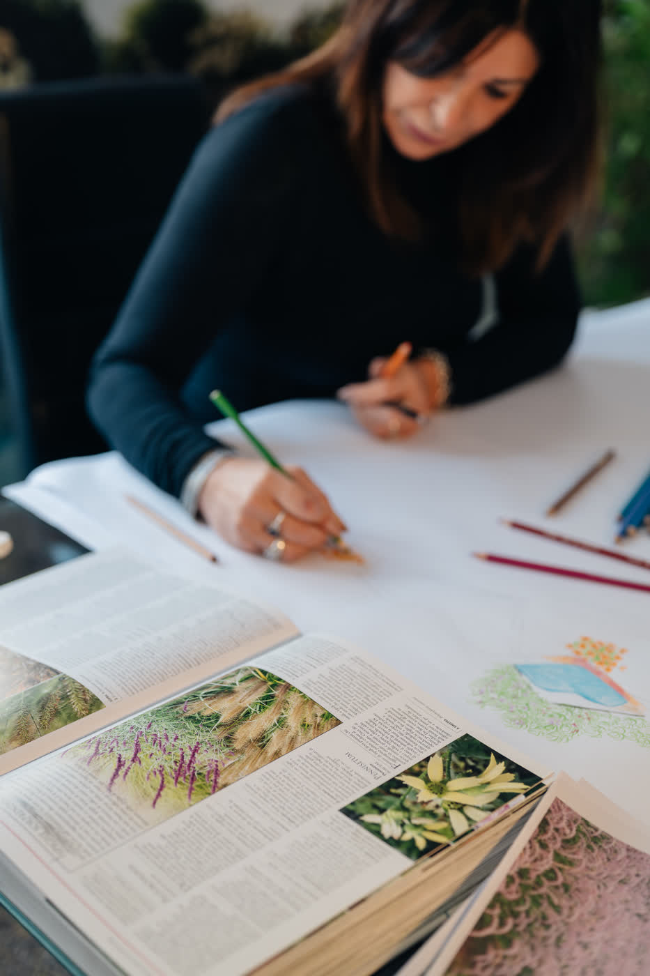 Disegno a matita verde sulla planimetria