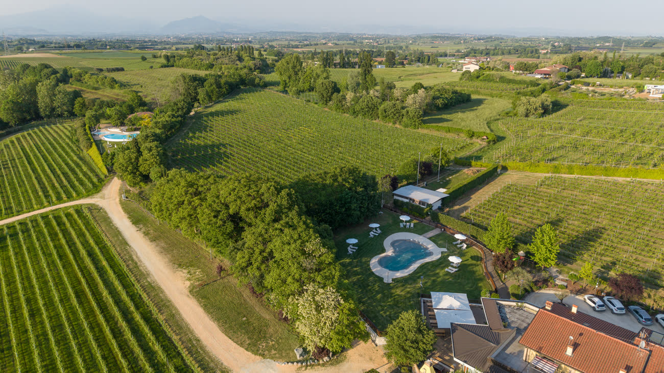 Veduta aerea del giardino fra i vigneti